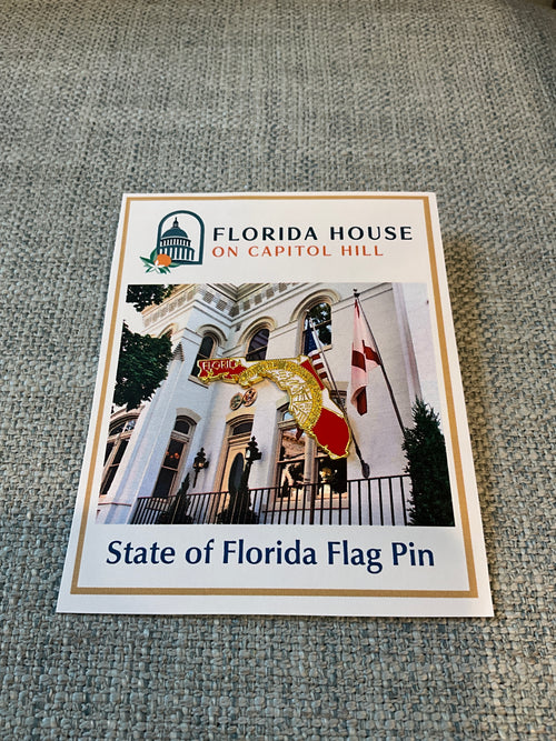 Enamel Pin - Florida Flag