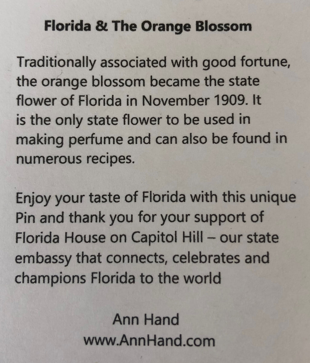 Florida House on Capitol Hill Ann Hand Pin