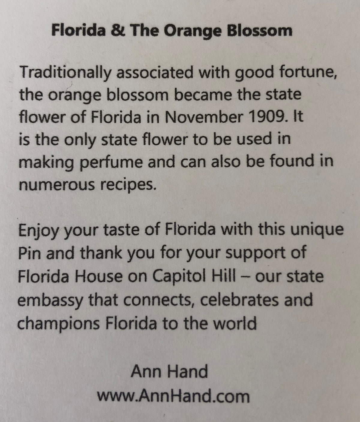 Florida House on Capitol Hill Ann Hand Pin
