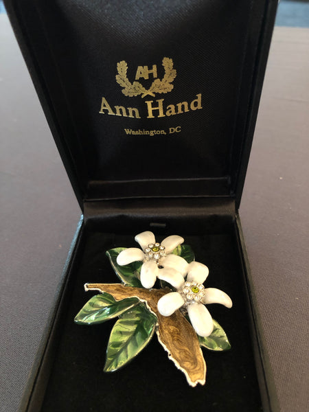 Florida House on Capitol Hill Ann Hand Pin
