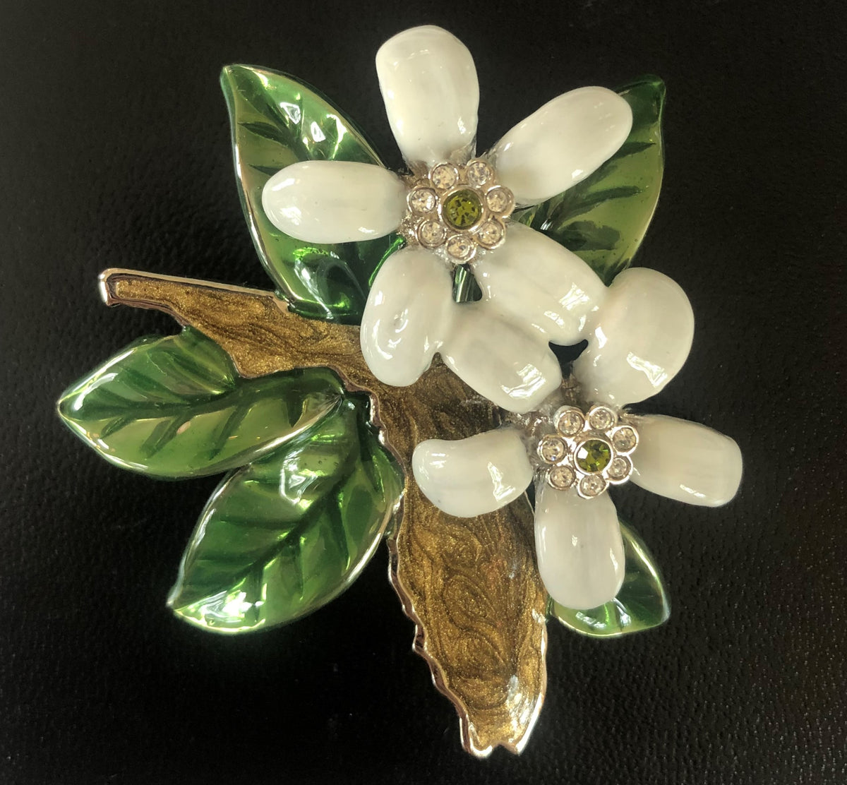 Florida House on Capitol Hill Ann Hand Pin